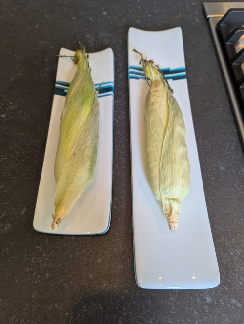 Aqua Rectangle Serving Dish